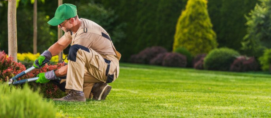 Wie ein Gartenbauer Ihren Traumgarten professionell verwirklicht